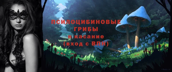 молекула духа Дмитриев