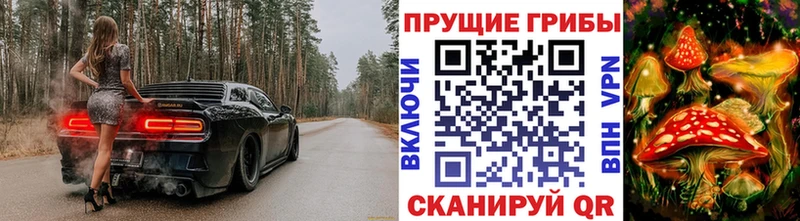 Галлюциногенные грибы мухоморы  Купить где  Сусуман 