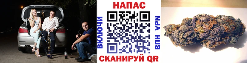 Купить где  Сусуман  Бошки Шишки индика 